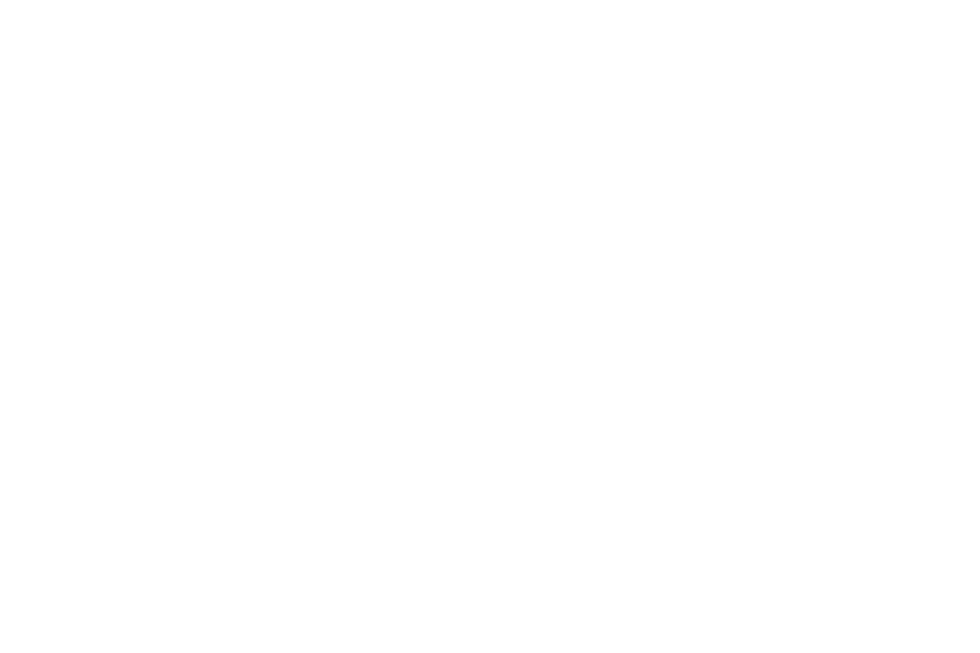 Amy Peck